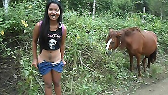 Heatherdeep.Com Celebrates Love For Massive Horse Dick, Resulting In Intense Squirting Orgasms.