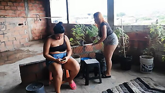 Meraba-Raba Sensual Membawa Kepada Pancutan Air Mani Wanita Di Taman