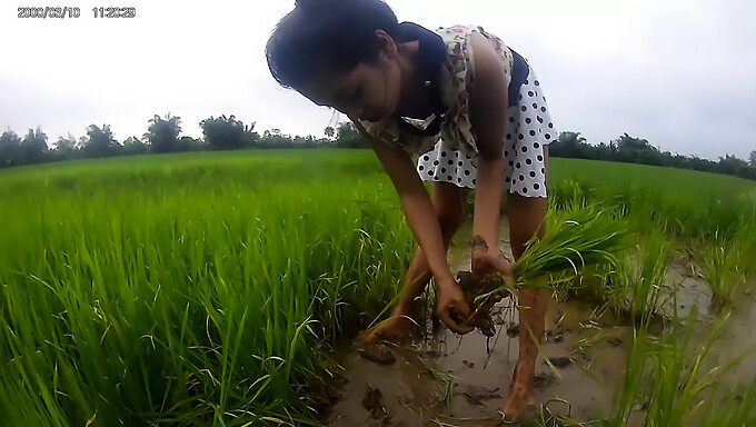 สาวเอเชียสมัครเล่นอวดความงามของเธอในทุ่งโล่ง