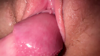 Jonge En Magere Tiener Stiefzus'S Close-Up Kutje En Cumshot